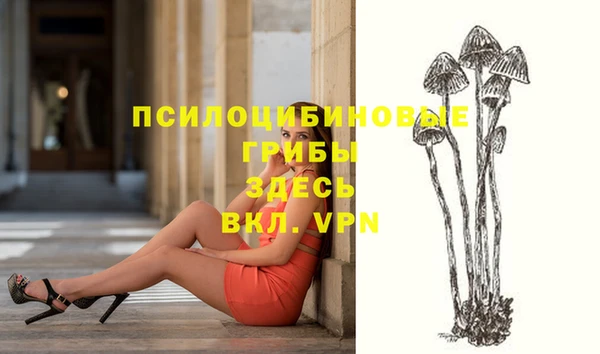 прущие крисы Горняк