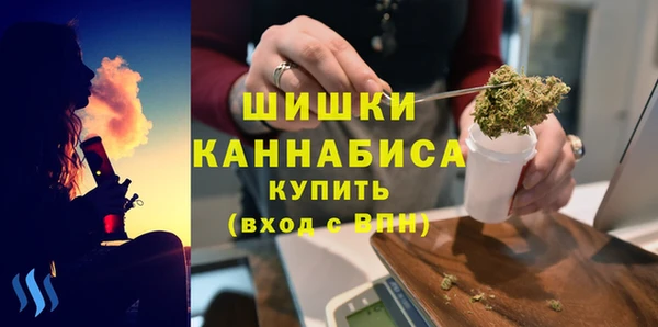 прущие крисы Горняк