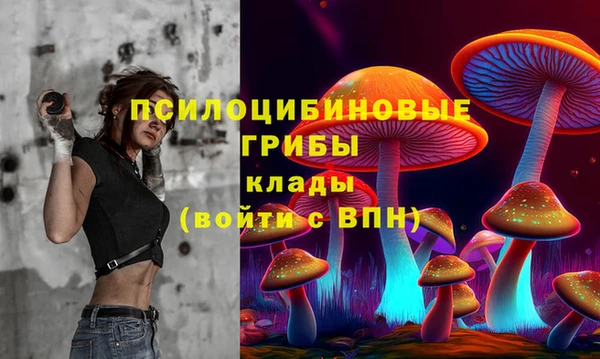 бошки Горнозаводск
