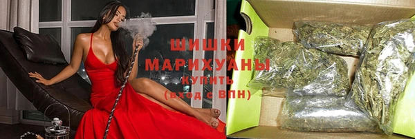 прущие крисы Горняк