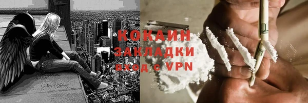 прущие крисы Горняк